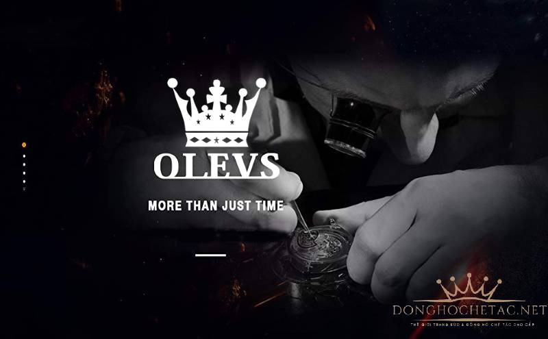 Tổng quan về thương hiệu OLEVS