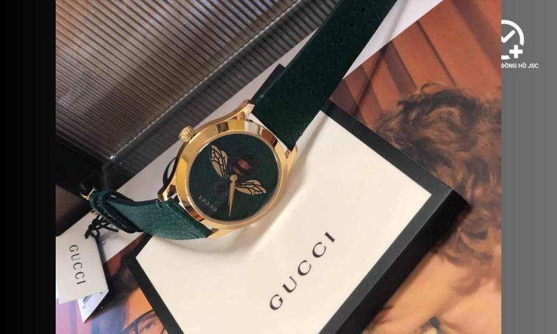Bộ siêu tập đồng hồ Gucci 