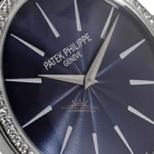 tai sao nen mua tai donghochetac net 5